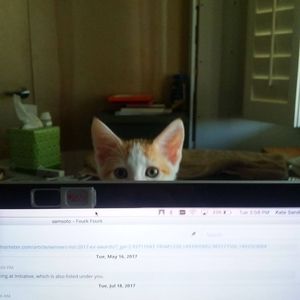 Meet your Posher, Kate